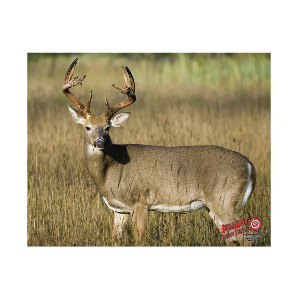 DuraMesh Archery Targets