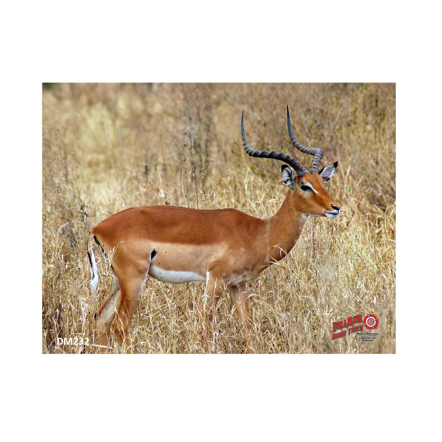 Western Recreation DuraMesh Targets