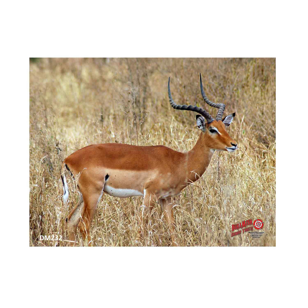 Western Recreation DuraMesh Targets