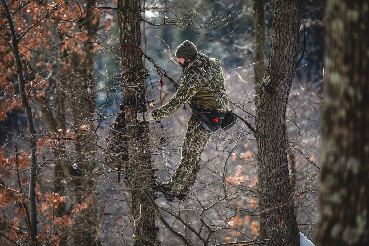 2025 Elite Artus Compound bow on a blue field background.