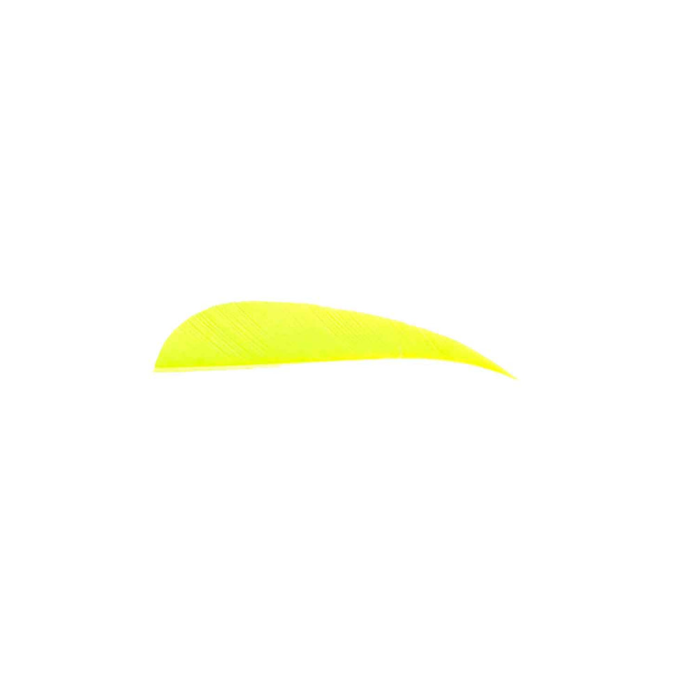 TrueFlight 5 Inch Parabolic Feathers - 12 Pack For Arrows (RW Or LW)