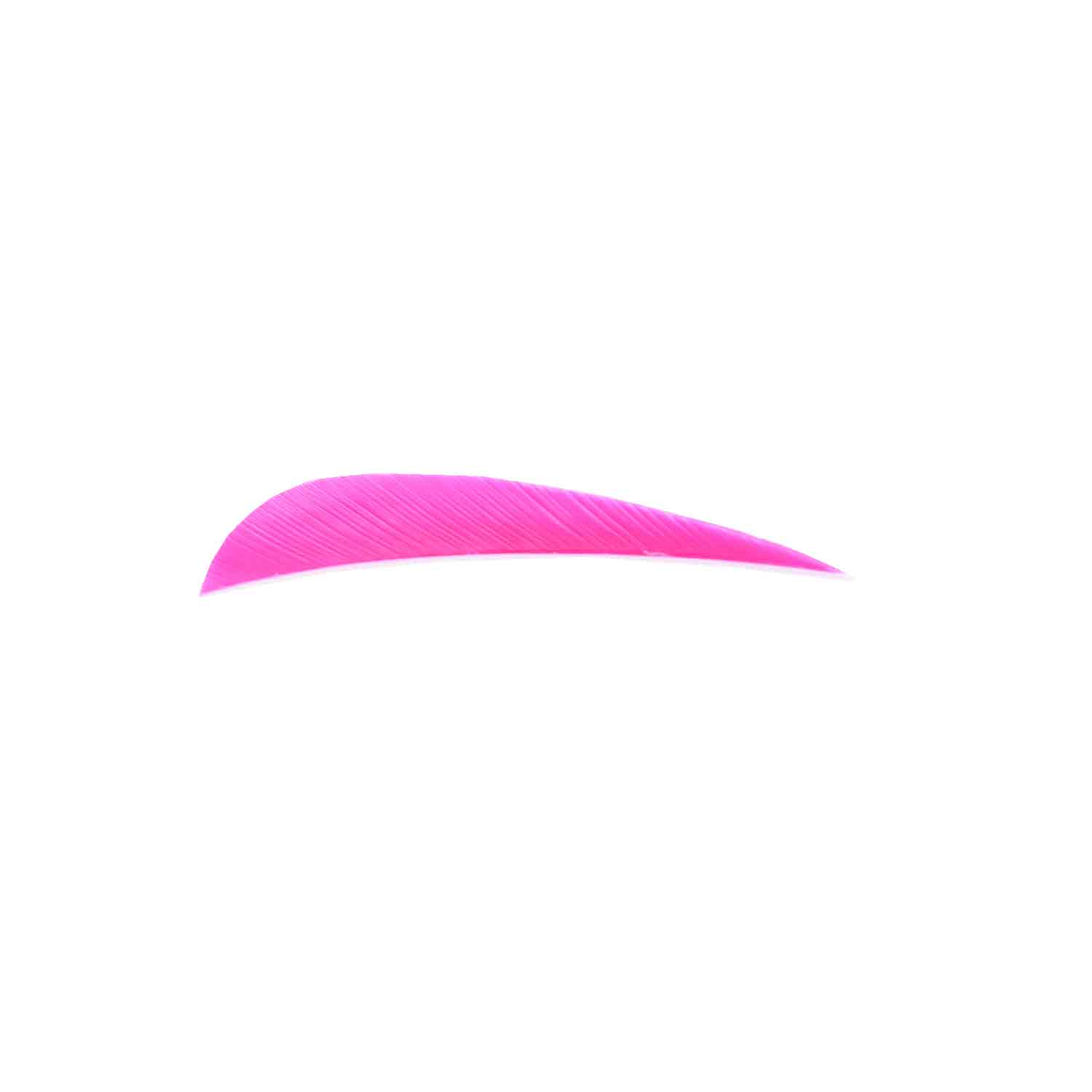 Trueflight 4