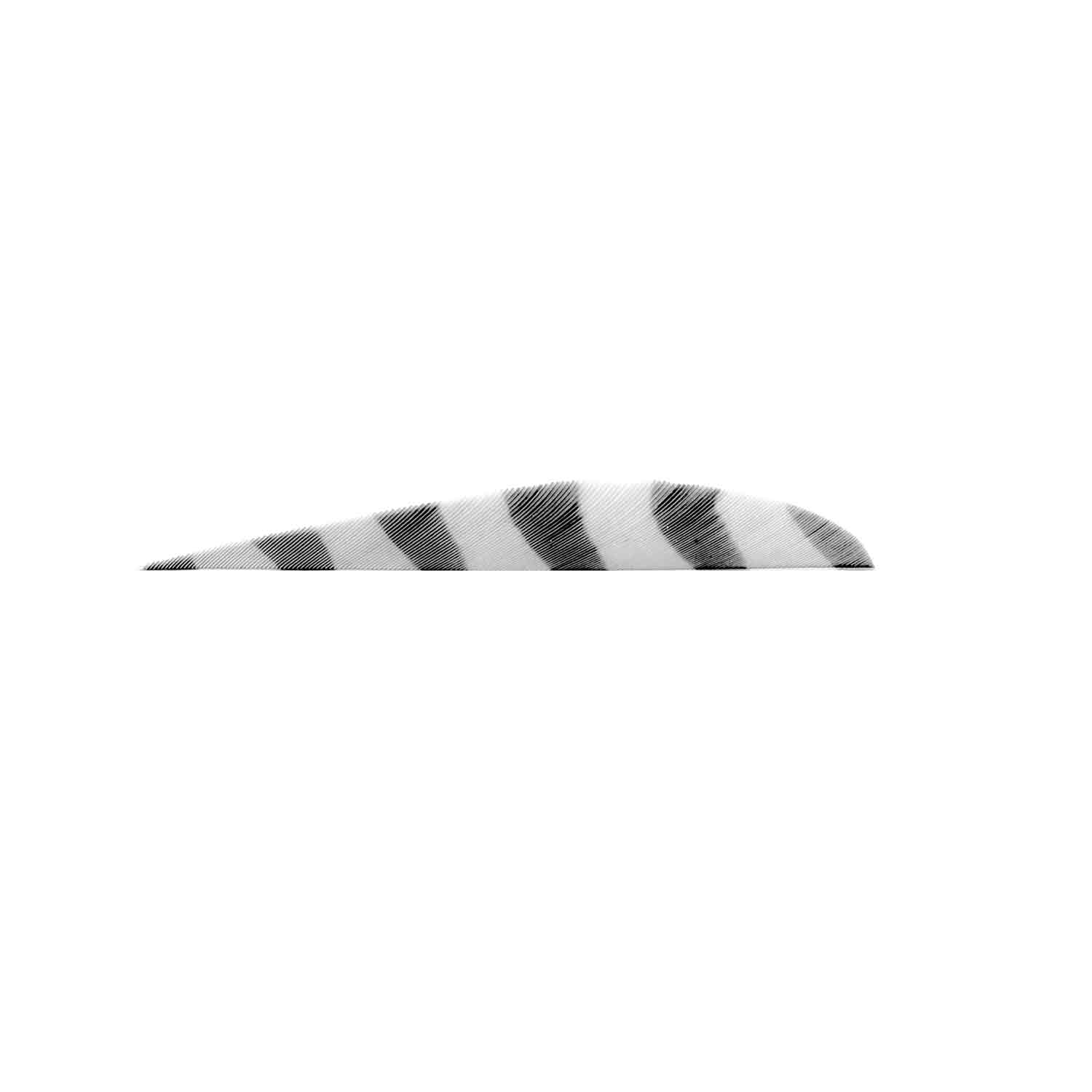 Trueflight Barred 4