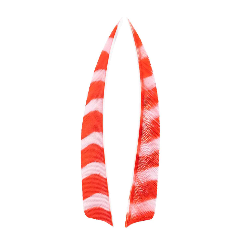 Trueflight Brite Stripes 5