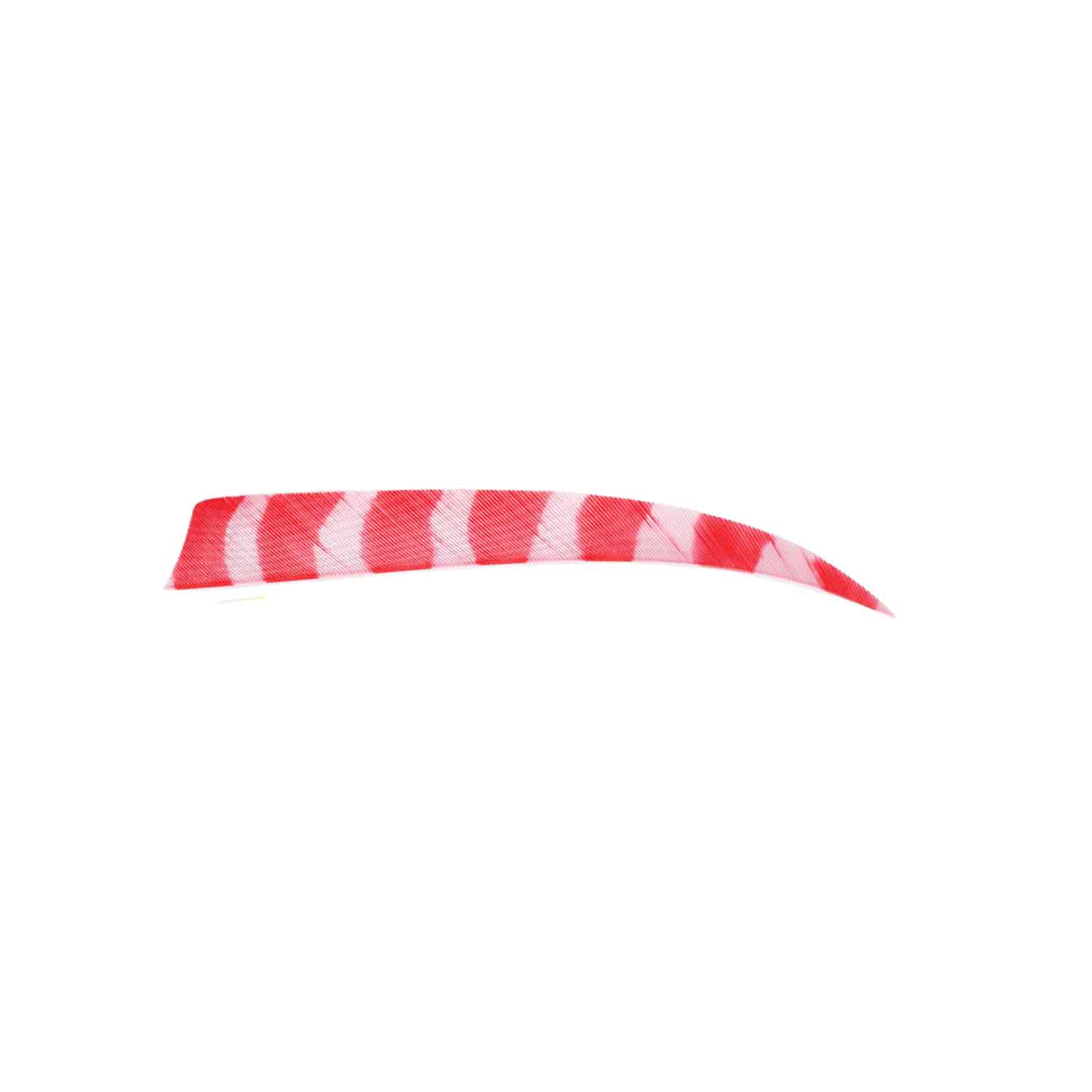 Trueflight Brite Stripes 5