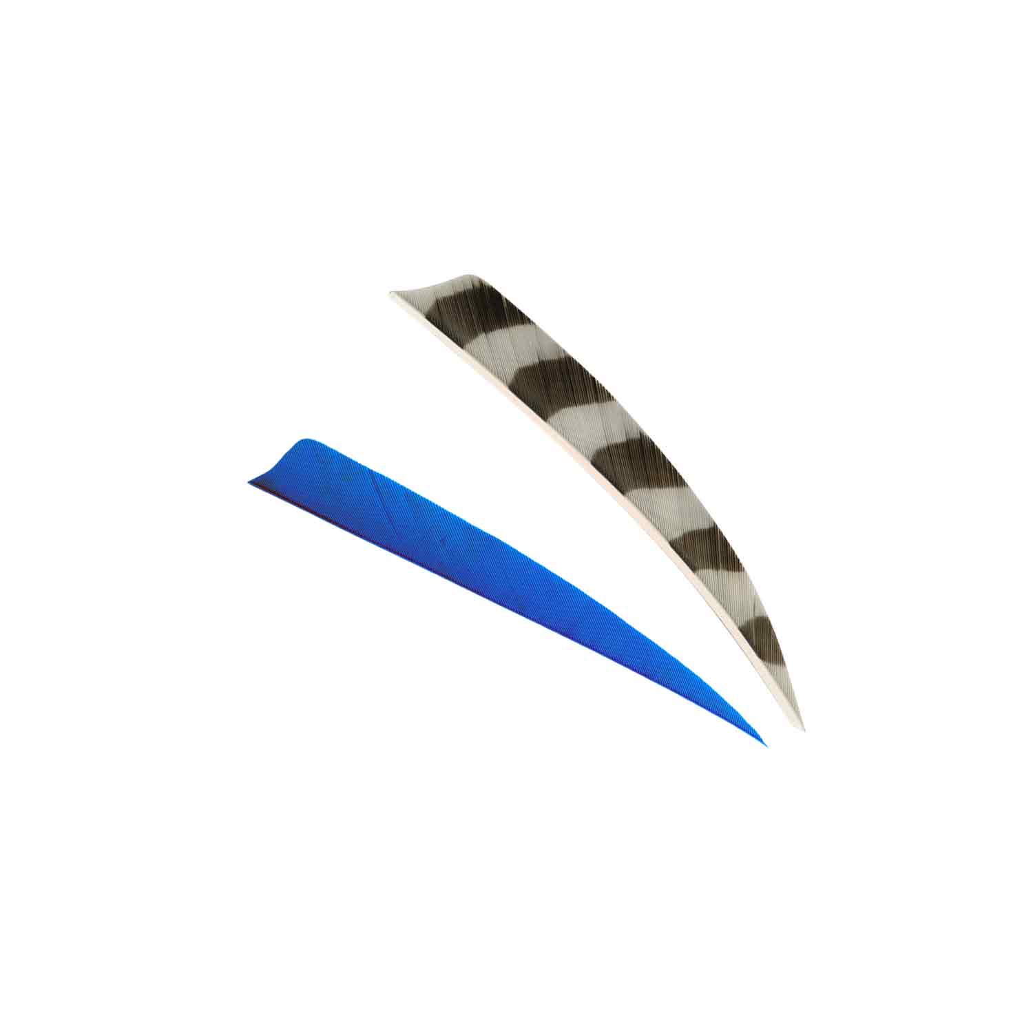 Trueflight 4