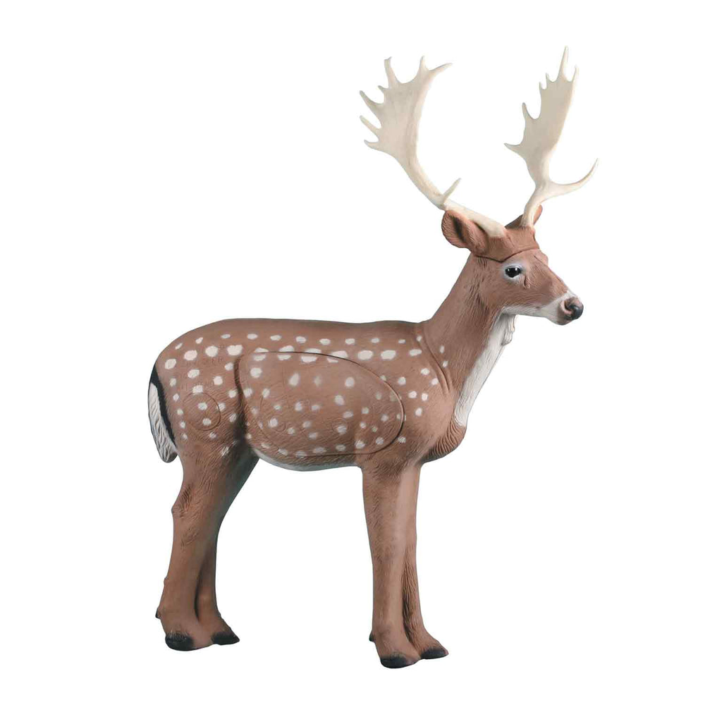 Rinehart Fallow Deer Target