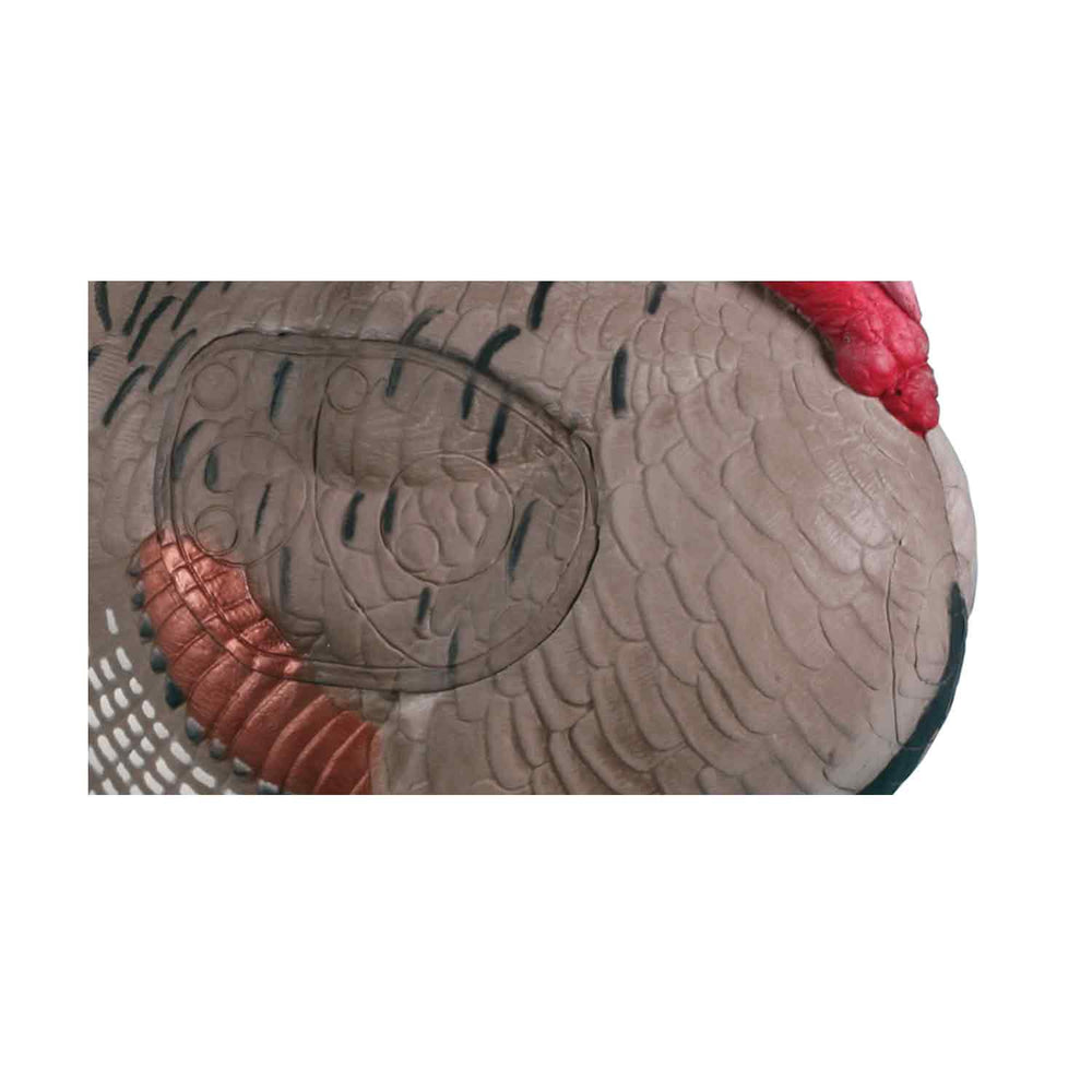Rinehart Strutting Turkey Target