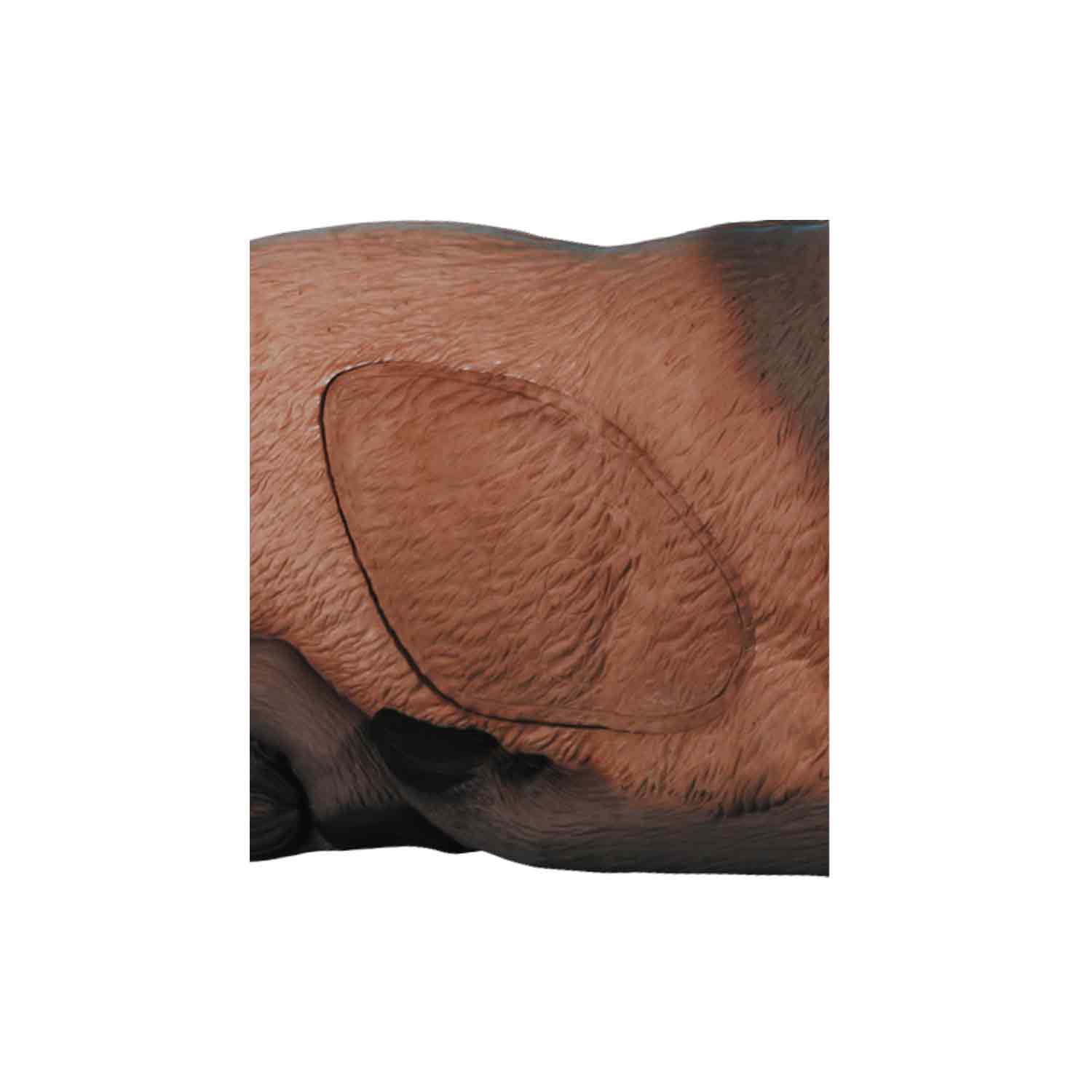 Rinehart Bedded Elk Target