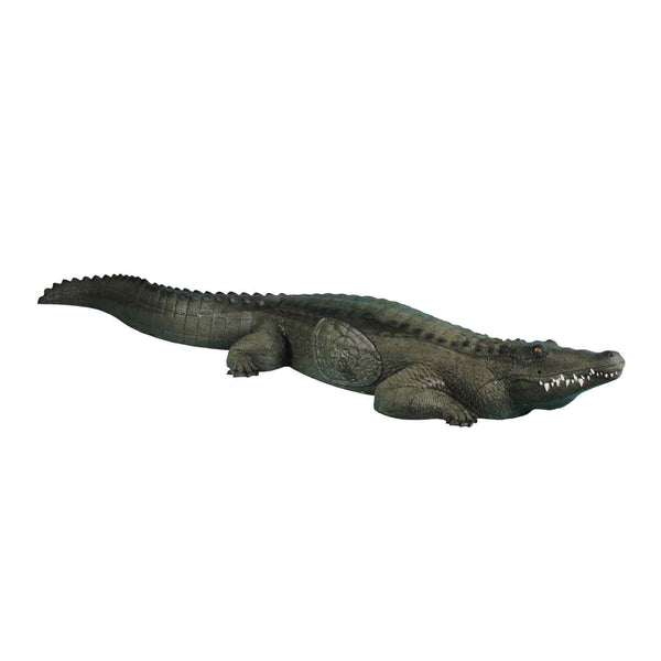 5650143_grande.jpg?v=1697817678