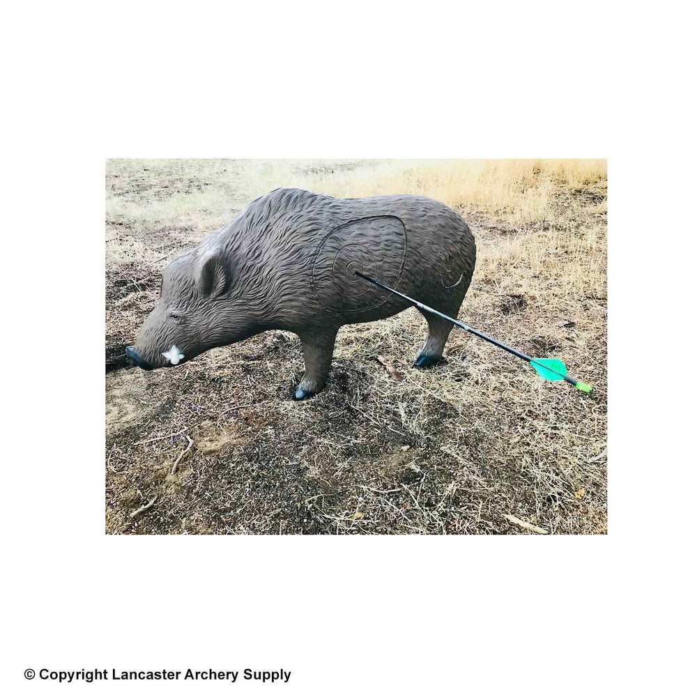 Rinehart Woodland Boar Target
