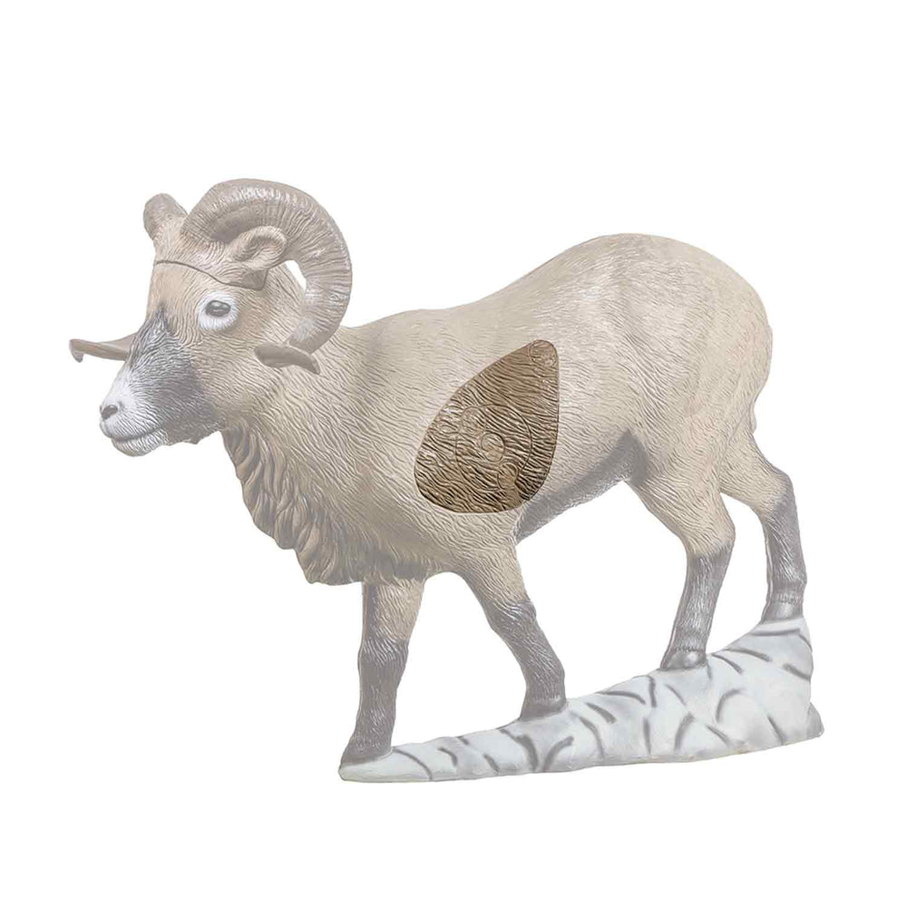 Rinehart Corsican Ram Insert