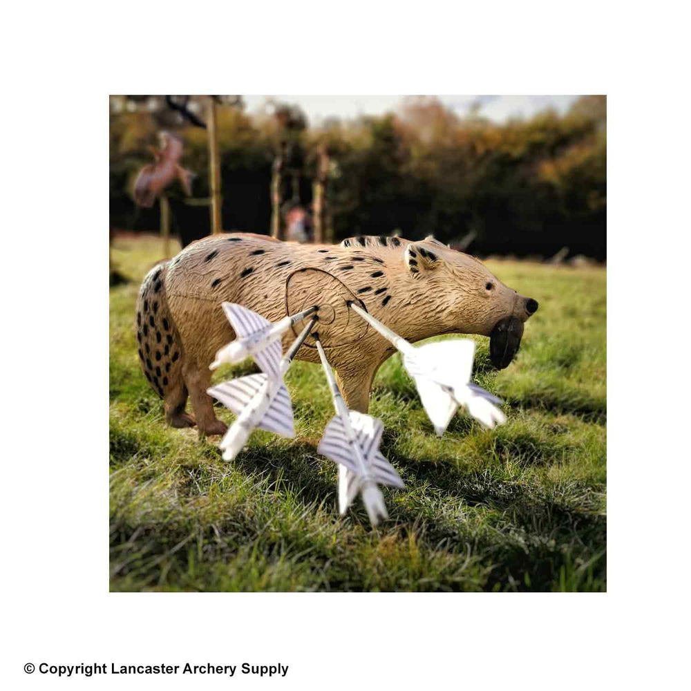 Rinehart Woodland Coyote Target