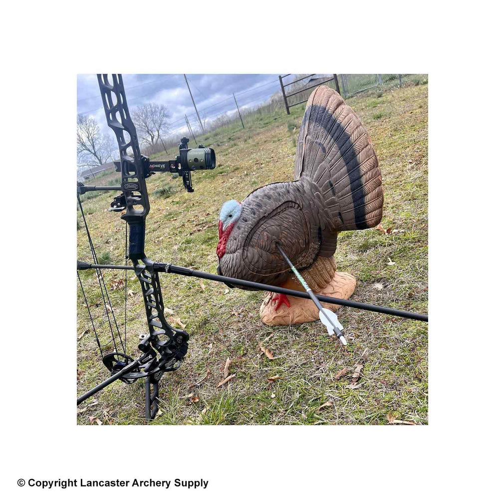Rinehart Woodland Strutting Turkey Target