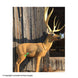 Rinehart Woodland Mulie 3D Target