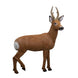 Rinehart Roe Deer 3D Target