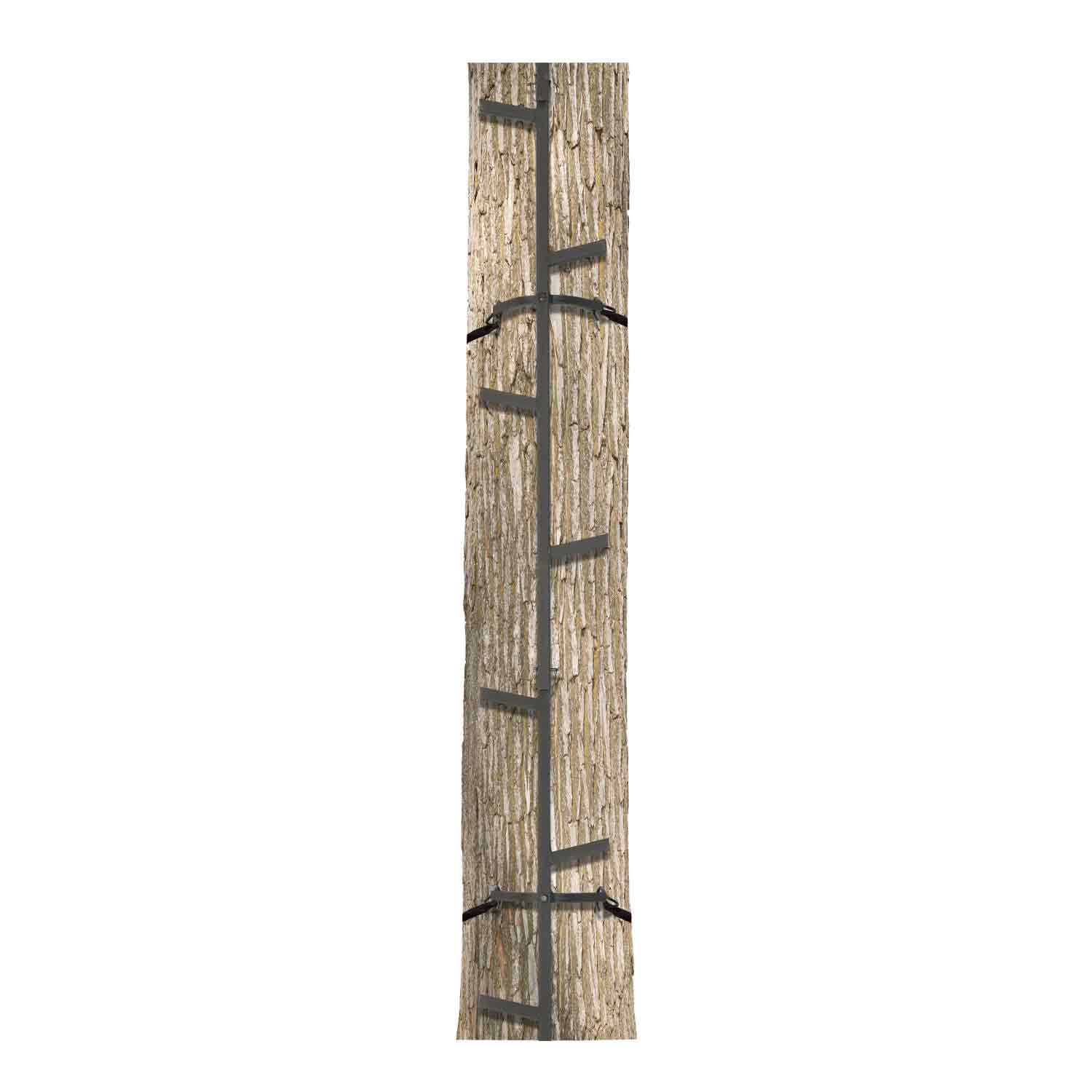 Big Game Quick-Stick Climbing System
