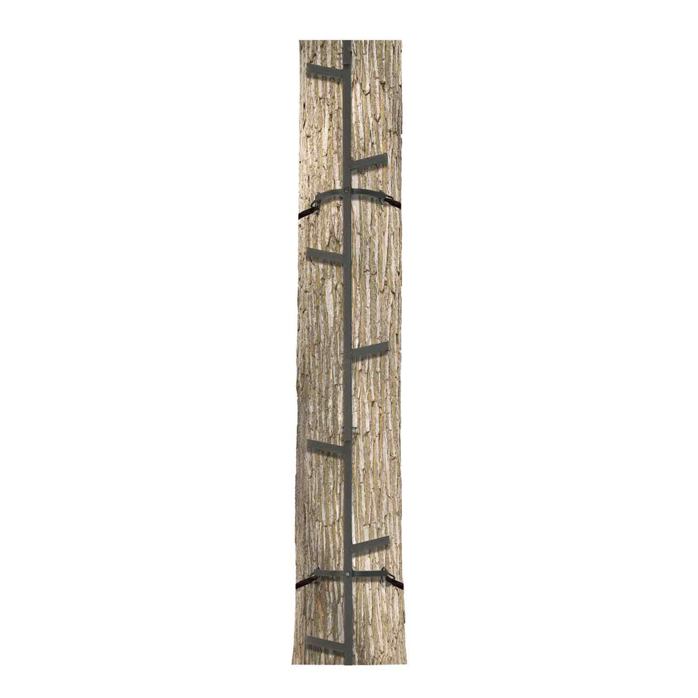 Big Game Quick-Stick Climbing System