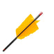 Victory Air Combat Carbon Flu-Flu Arrow