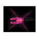Nockturnal FIT Universal Lighted Nocks