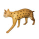 RealWild Bobcat 3D Target