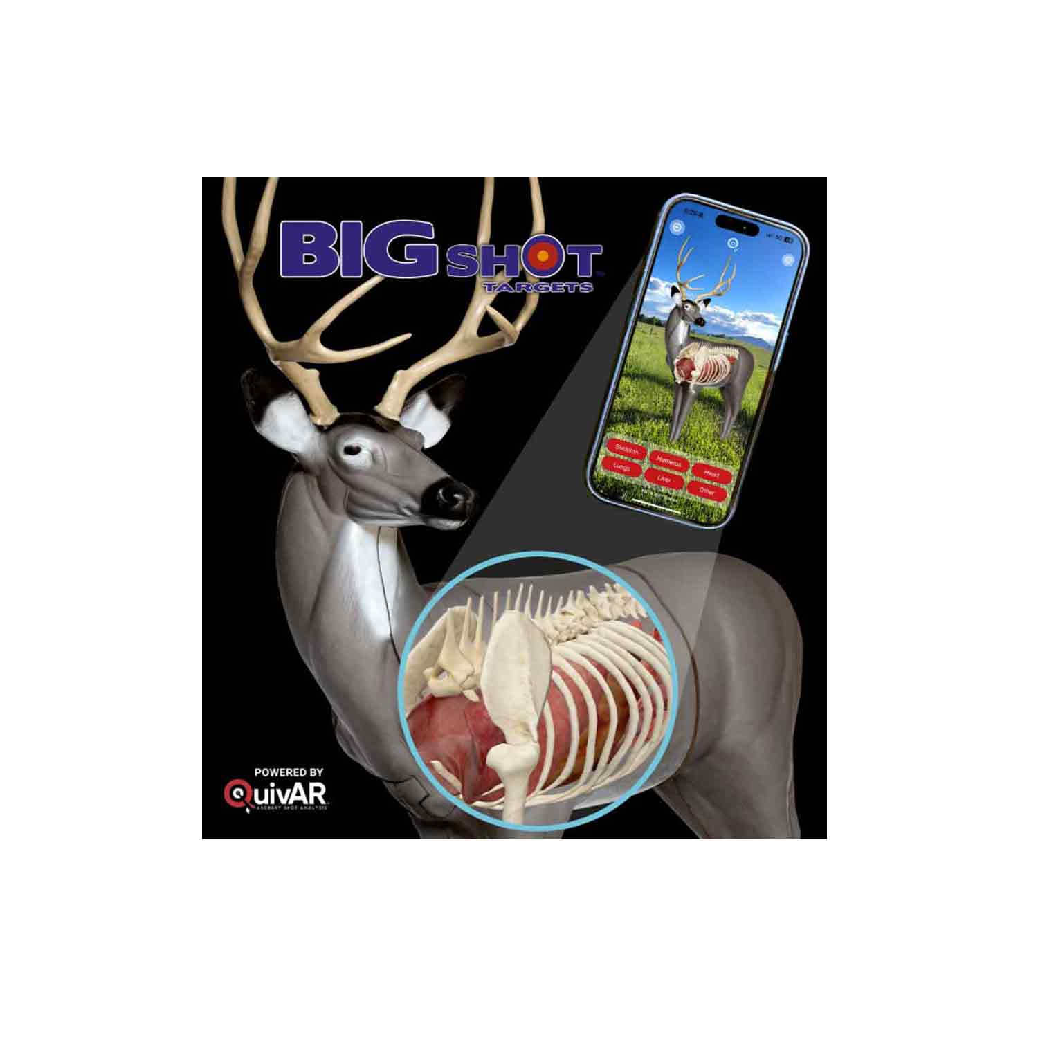 RealWild Mule Deer QuivAR Enabled 3D Target