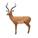 RealWild African Impala 3D Target