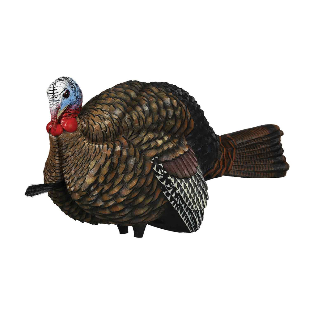 Avian-X LCD Jake 1/2 Strut Turkey Decoy