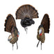 Avian-X Trophy Tom Turkey Decoy