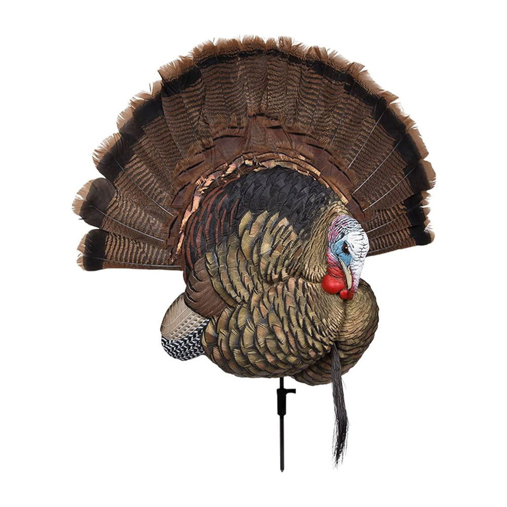 Avian-X Trophy Tom Turkey Decoy