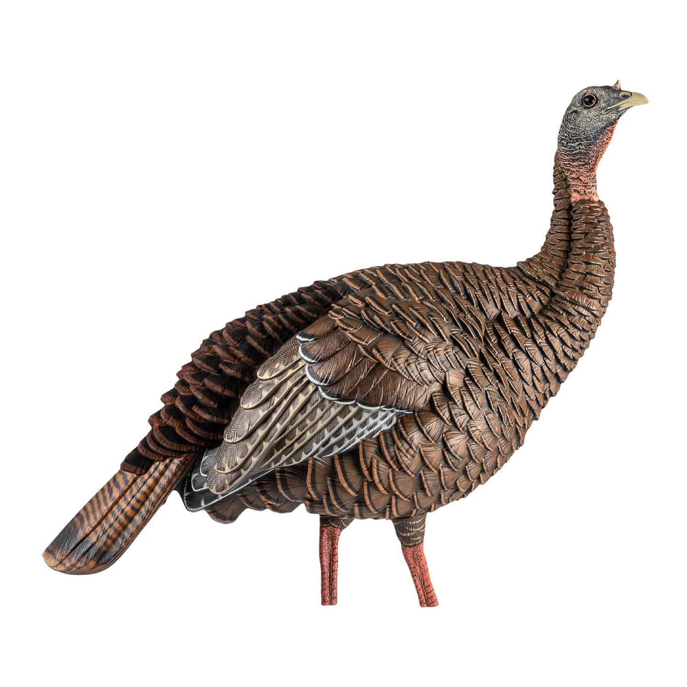 Avain-X HDR Hen Decoy