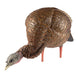 Avian-X HDR Feed Hen Decoy