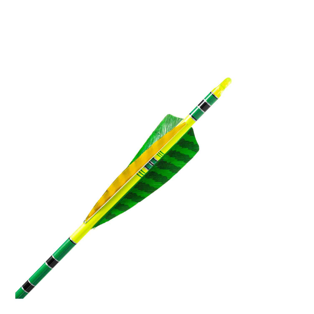 Black Eagle Vintage Traditional Crested Fletched Arrows
