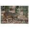 Atc banner alt text