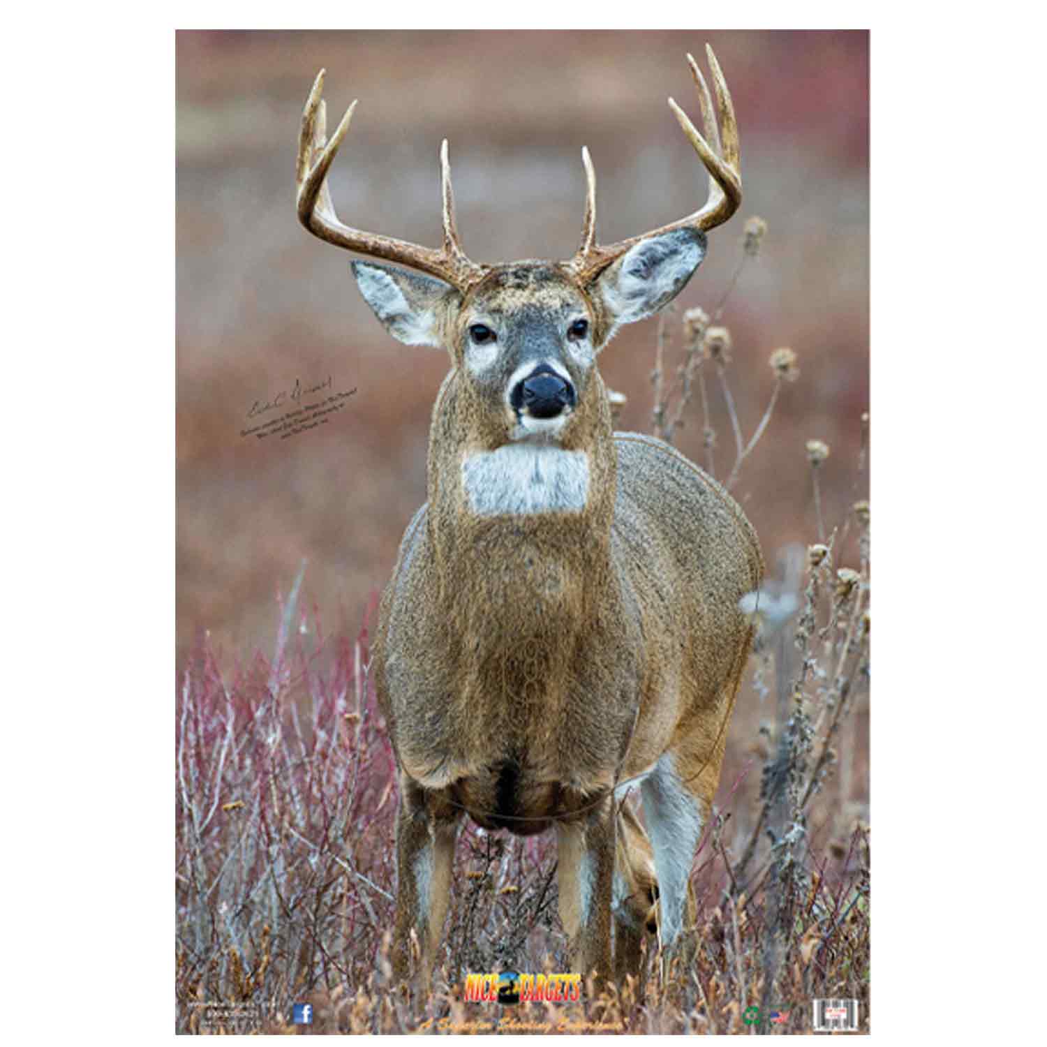 NiceTargets Deer Targets