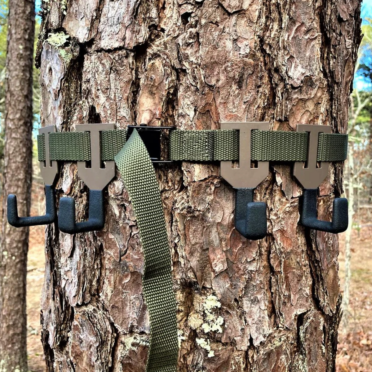 Gear hooks wrapped around a tree.