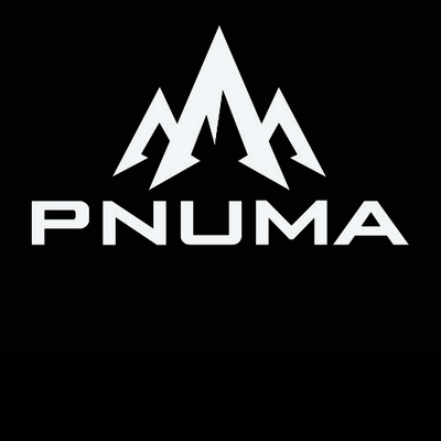 pnuma logo