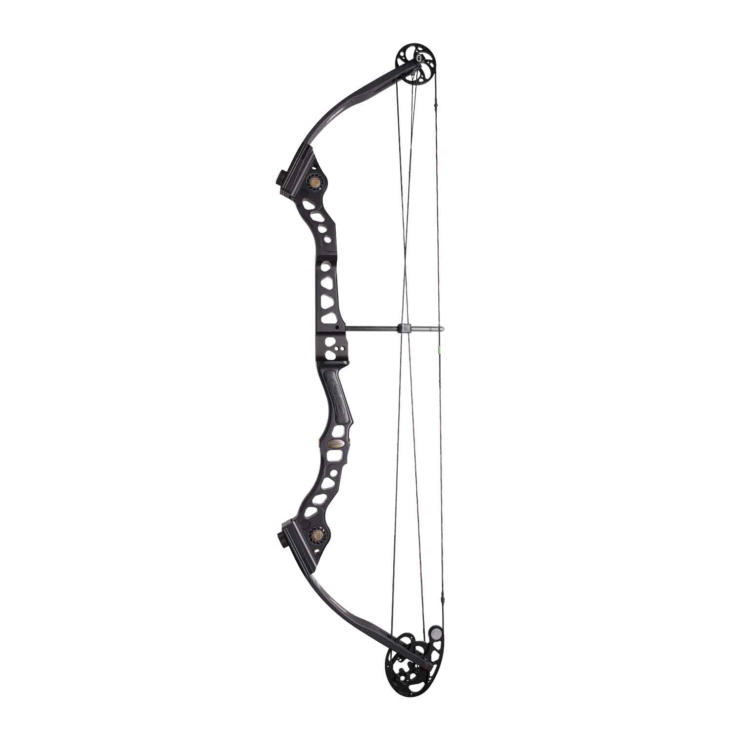 2020 Mathews Conquest 4 Compound Bow (Max Cam)  (Clearance X1037006)