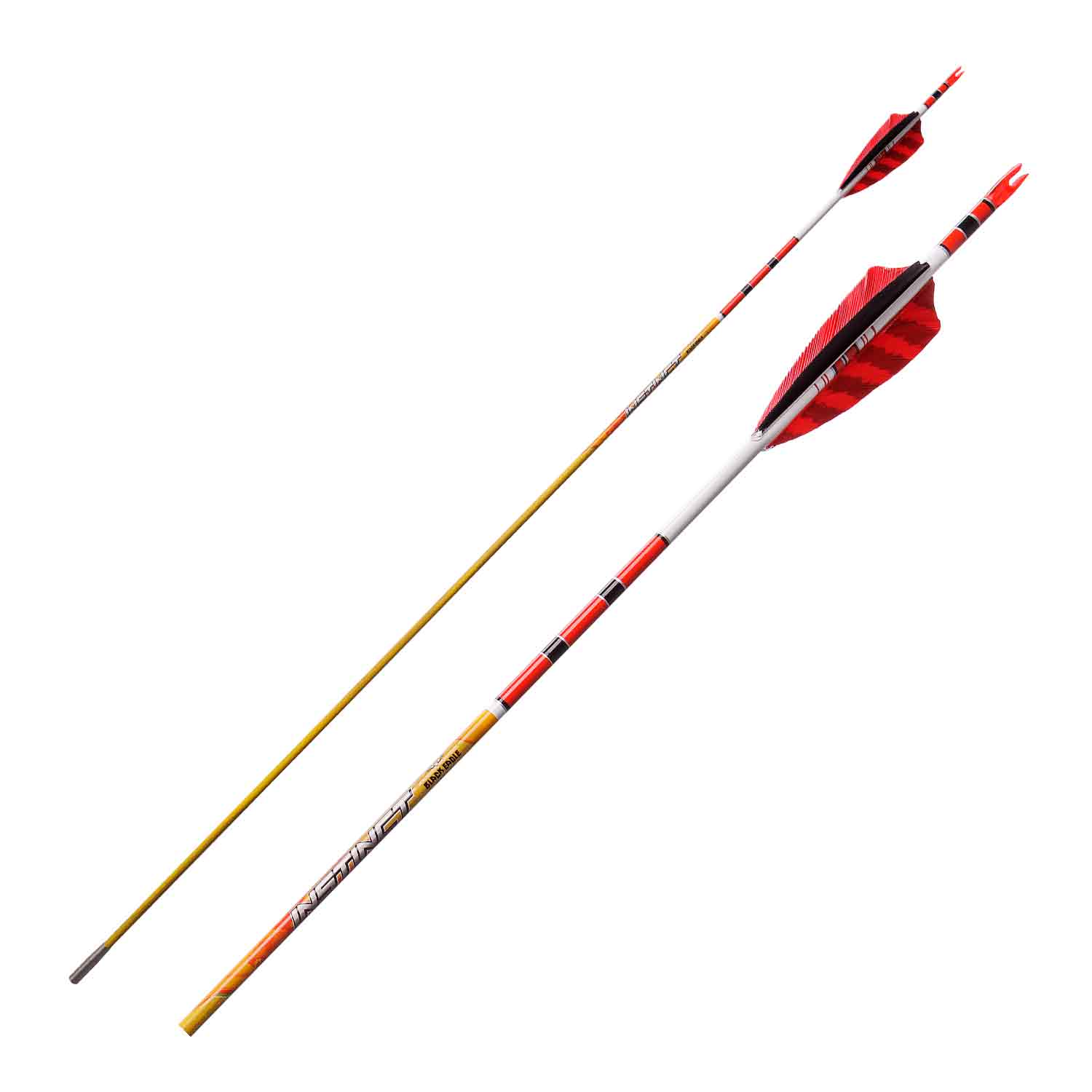 Black Eagle Instinct Traditional Crested Fletched Arrows (Open Box X1037453)