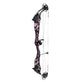 Bowtech Custom Color Reckoning 36 Gen 2 Medium Cam Target Bow (RH-50lb) (Open Box X1048014)