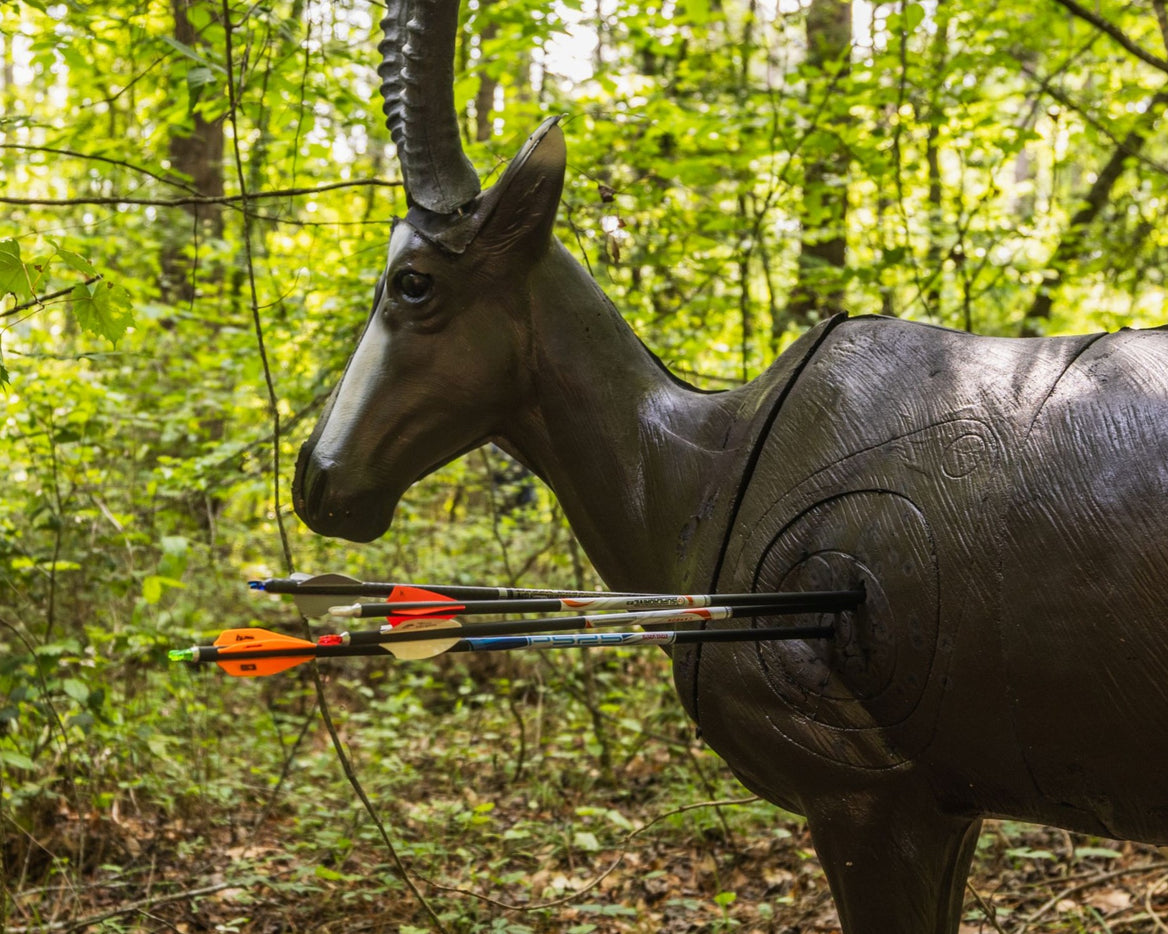 Hartebeest 3D target with 23/64 and 25/64 size arrows