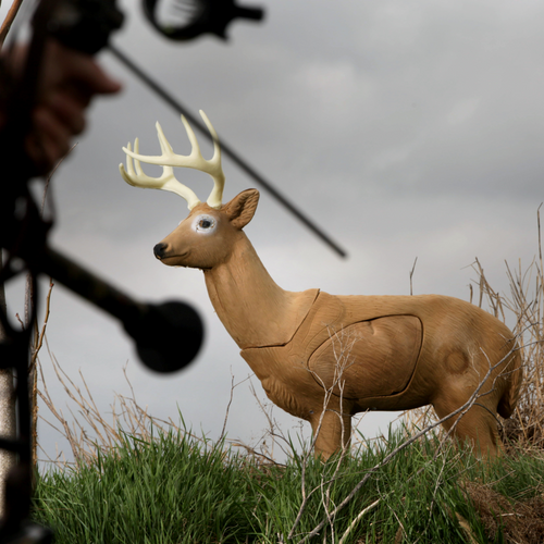 Block Targets – Lancaster Archery Supply