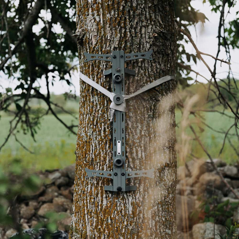 individual climbing stick attached to a tree.
