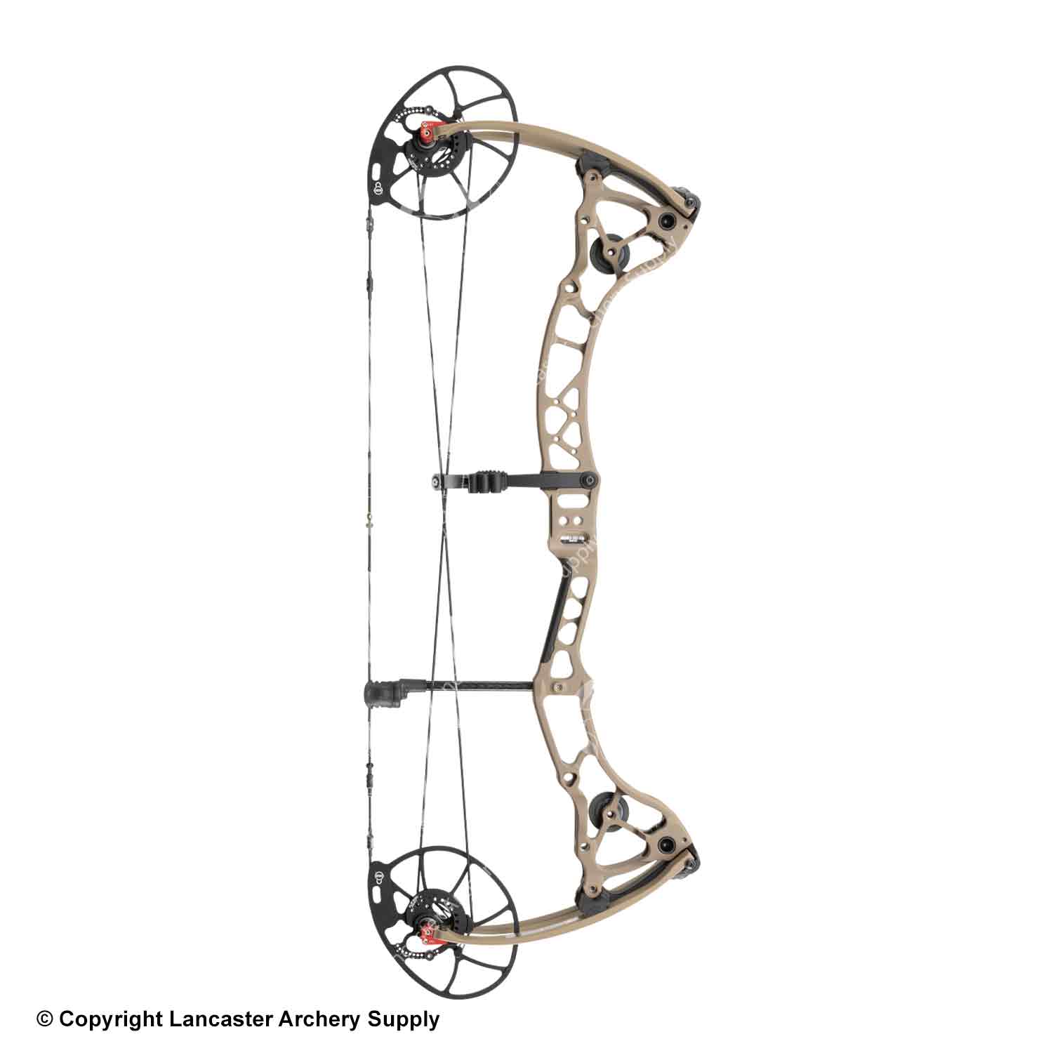 Bowtech CP28 Compound Hunting Bow