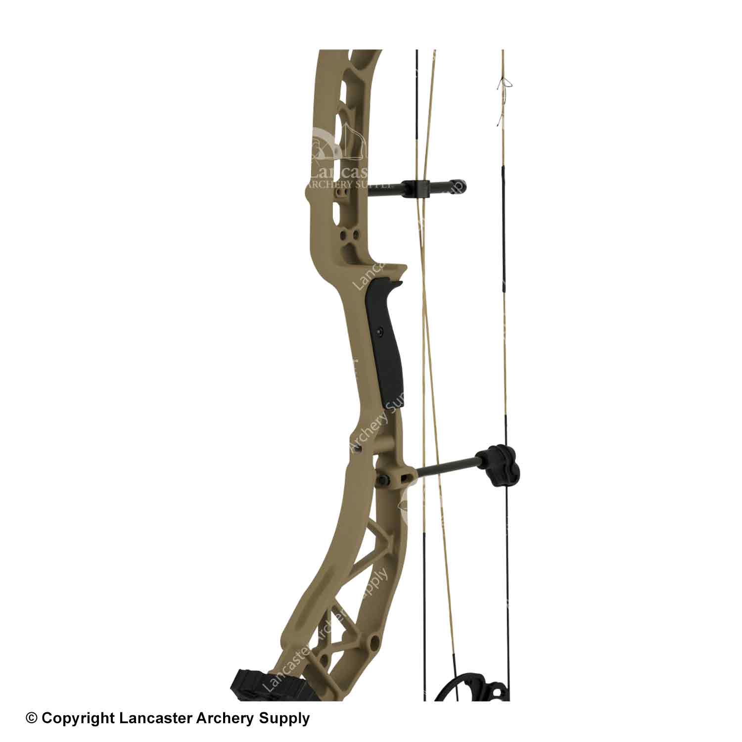 Bear Adapt The Hunting Public Compound Bow