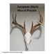 European Skull Mount Process Book by Kyle Hackett