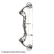 2021 Bear Inception Compound Bow