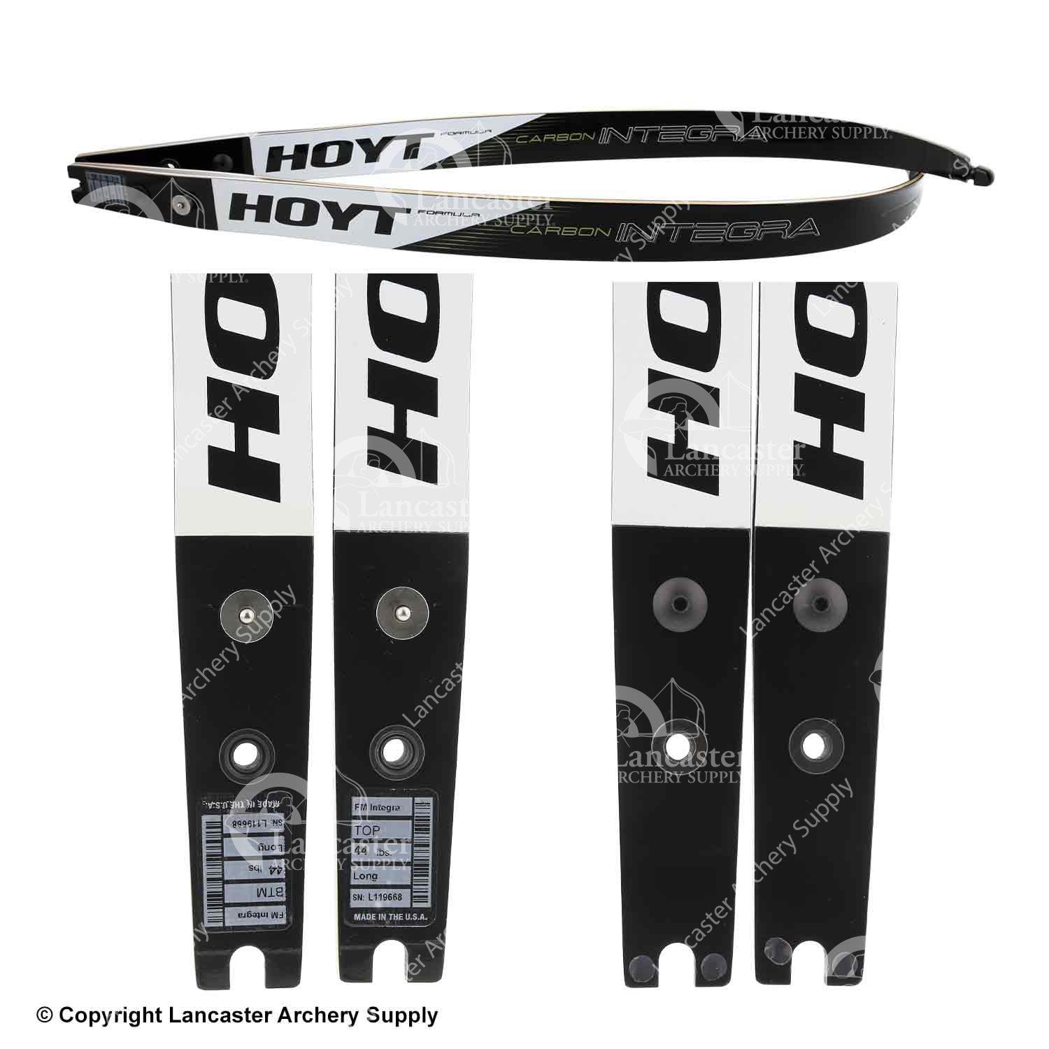 Hoyt Carbon Integra Formula Target Recurve Limb (Open Box X1030160)