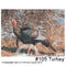 Atc banner alt text