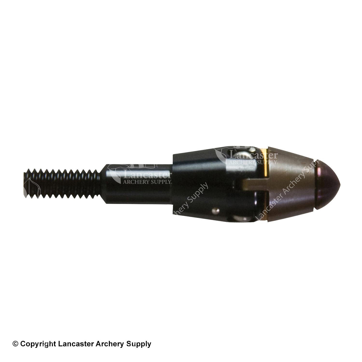 Easton V3 Expandable Varmint Points